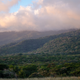 Image for article titled Earth's Tropical Rainforests Could Look Completely Different By the End of the Century